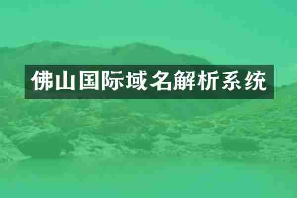 佛山国际域名解析系统