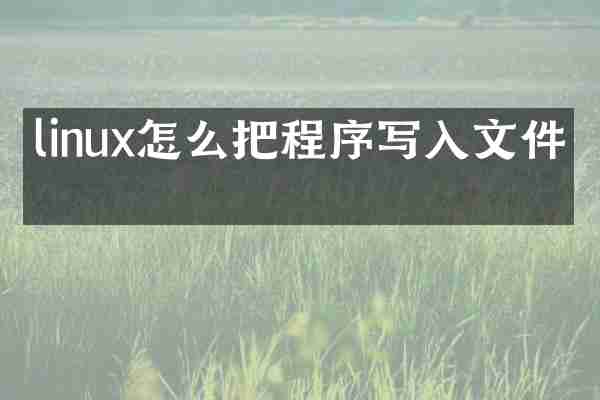 linux怎么把程序写入文件中