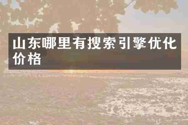 山东哪里有搜索引擎优化价格