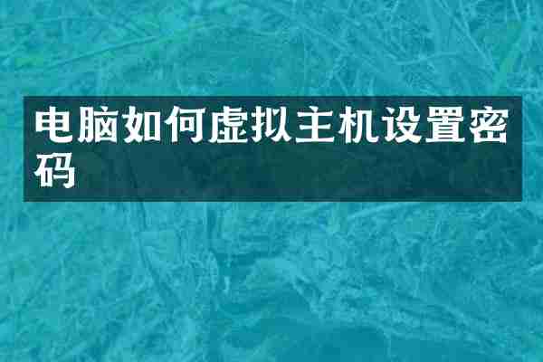 电脑如何虚拟主机设置密码