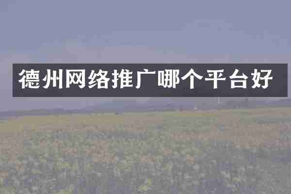 德州网络推广哪个平台好