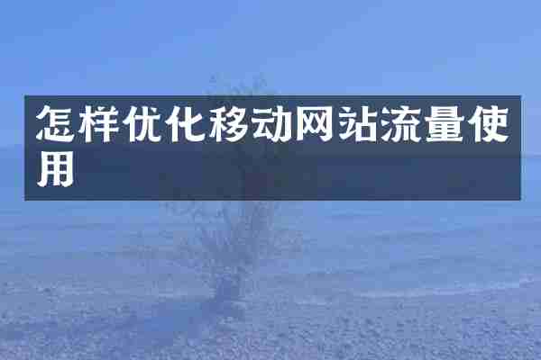 怎样优化移动网站流量使用