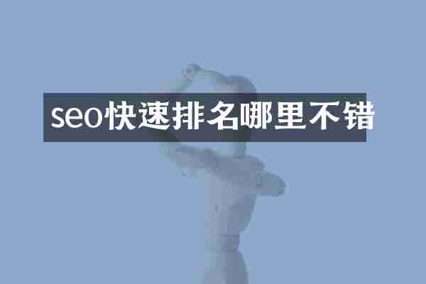 seo快速排名哪里不错