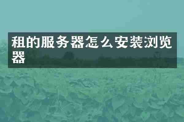 租的服务器怎么安装浏览器
