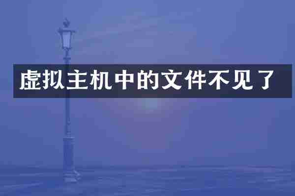 虚拟主机中的文件不见了