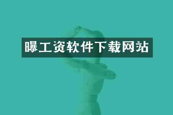 曝工资软件下载网站