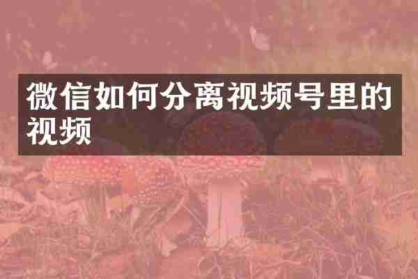 微信如何分离视频号里的视频