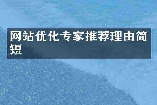网站优化专家推荐理由简短