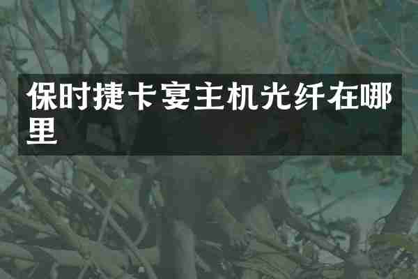 保时捷卡宴主机光纤在哪里
