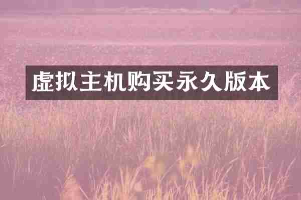 虚拟主机购买永久版本