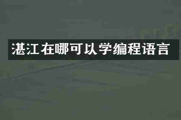 湛江在哪可以学编程语言