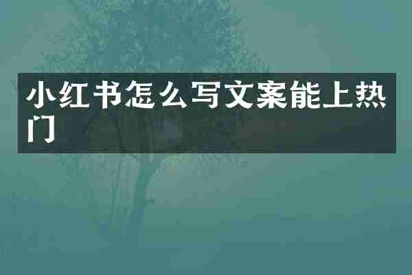 小红书怎么写文案能上热门
