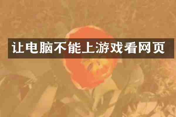 让电脑不能上游戏看网页