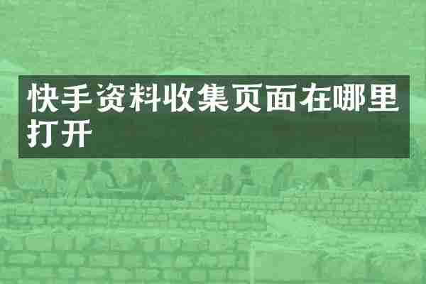 快手资料收集页面在哪里打开