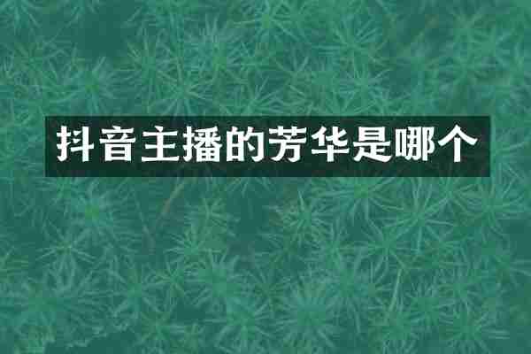 抖音主播的芳华是哪个