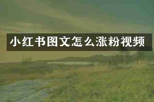 小红书图文怎么涨粉视频