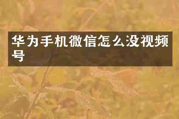 华为手机微信怎么没视频号