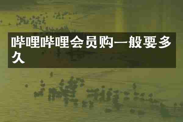 哔哩哔哩会员购一般要多久