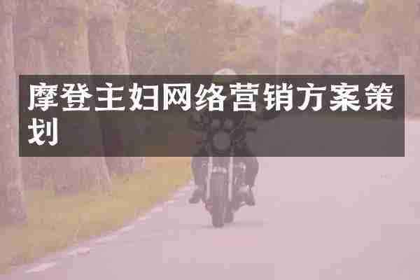 摩登主妇网络营销方案策划