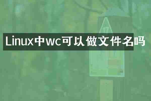 Linux中wc可以做文件名吗