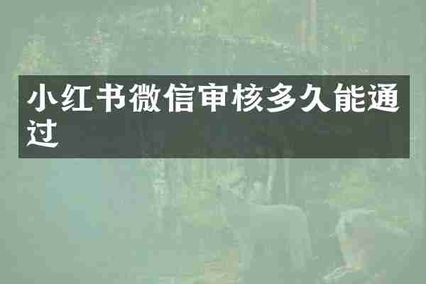 小红书微信审核多久能通过