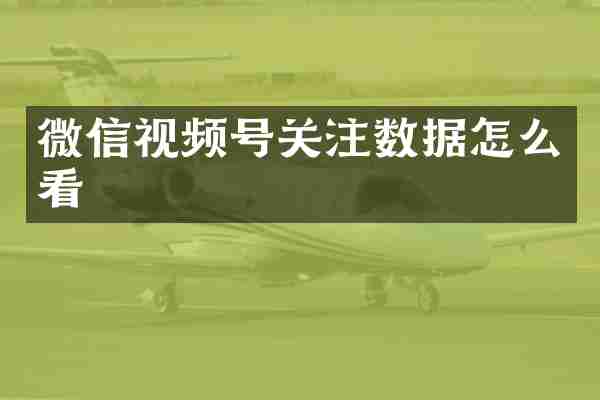 微信视频号关注数据怎么看