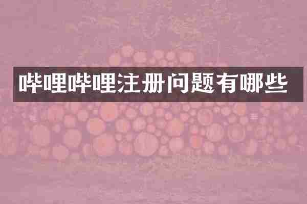 哔哩哔哩注册问题有哪些