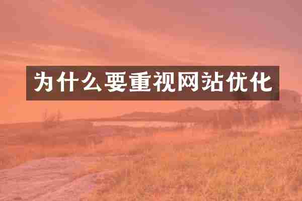 为什么要重视网站优化