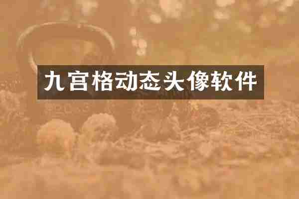 九宫格动态头像软件