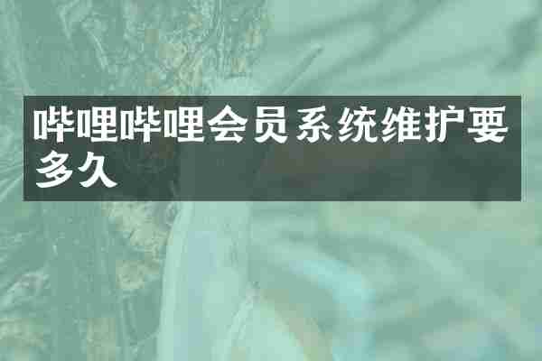 哔哩哔哩会员系统维护要多久