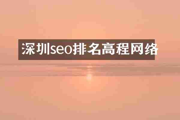 深圳seo排名高程网络