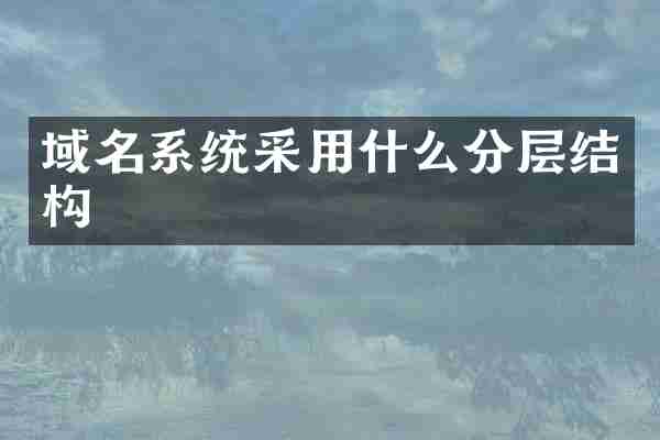域名系统采用什么分层结构
