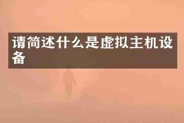 请简述什么是虚拟主机设备