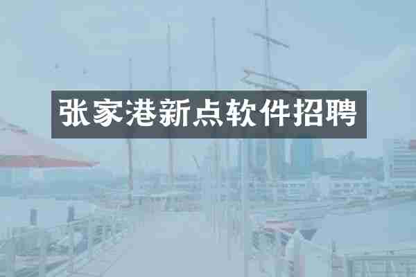 张家港新点软件招聘