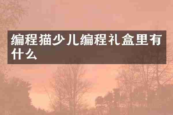 编程猫少儿编程礼盒里有什么