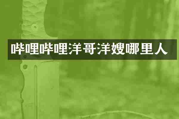哔哩哔哩洋哥洋嫂哪里人