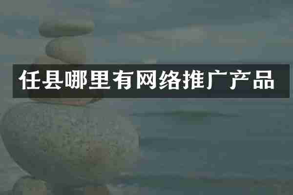 任县哪里有网络推广产品