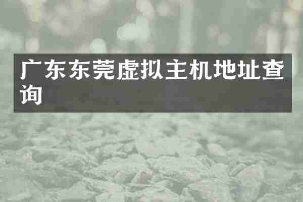 广东东莞虚拟主机地址查询