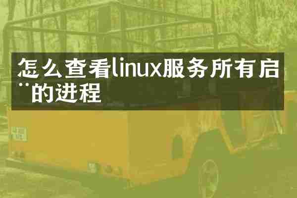 怎么查看linux服务所有启动的进程