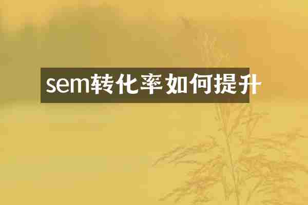sem转化率如何提升