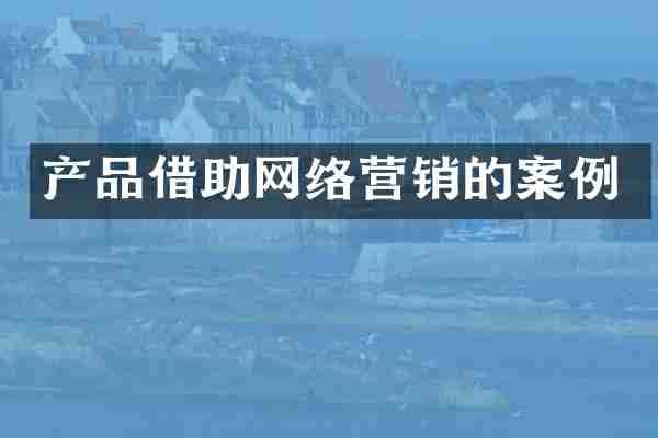 产品借助网络营销的案例