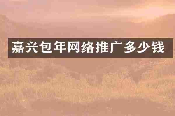 嘉兴包年网络推广多少钱