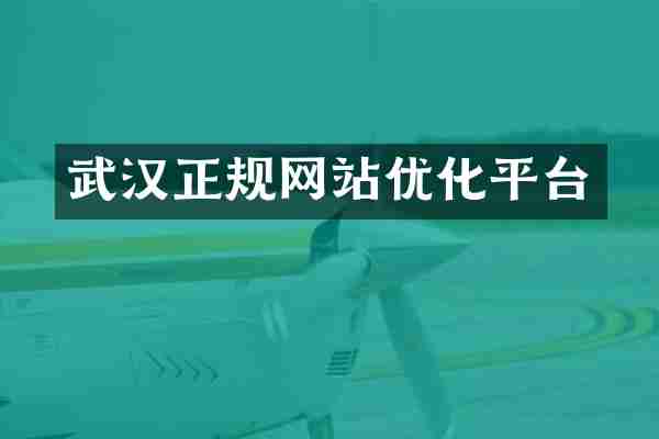 武汉正规网站优化平台