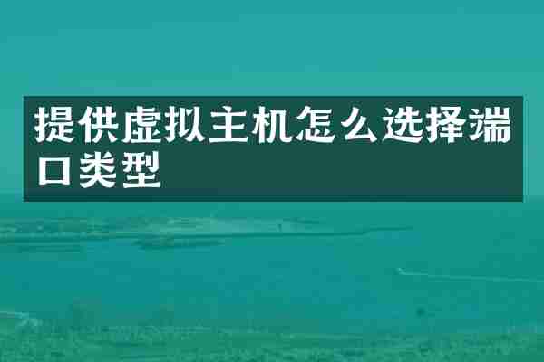 提供虚拟主机怎么选择端口类型