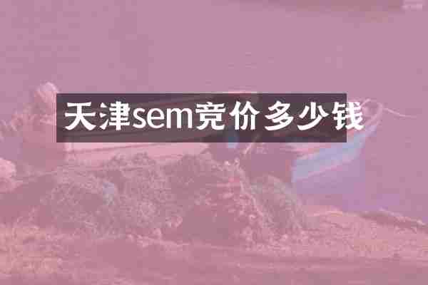 天津sem竞价多少钱