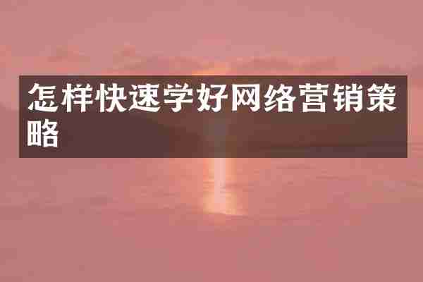 怎样快速学好网络营销策略