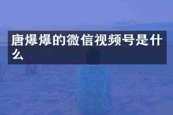 唐爆爆的微信视频号是什么