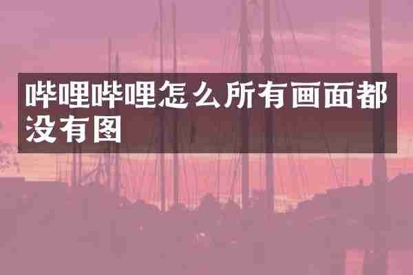 哔哩哔哩怎么所有画面都没有图