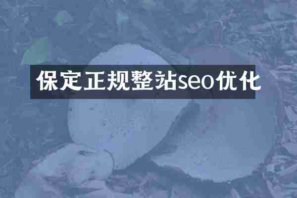 保定正规整站seo优化