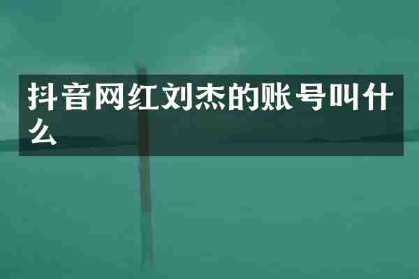 抖音网红刘杰的账号叫什么